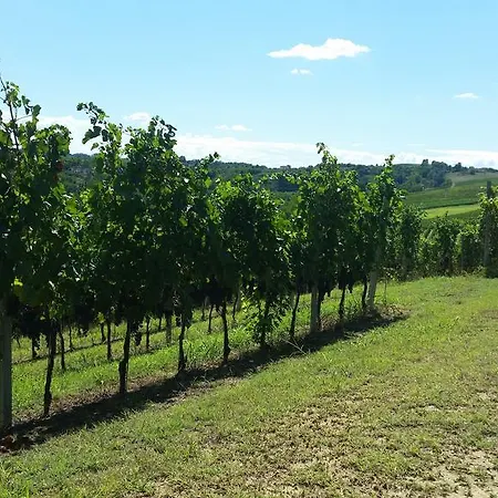 Cascina Rollone Сasa de vacaciones Rocchetta Tanaro