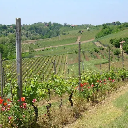 Casa vacanze Cascina Rollone Rocchetta Tanaro